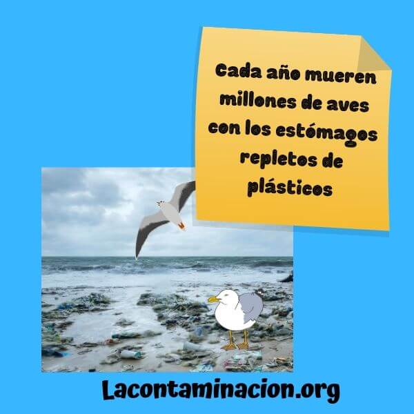 consecuencias de los microplásticos