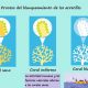 Proceso del blanqueamiento de los arrecifes