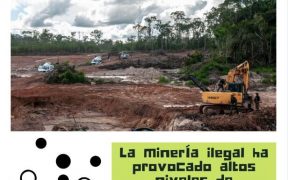 caso minería de américa latina