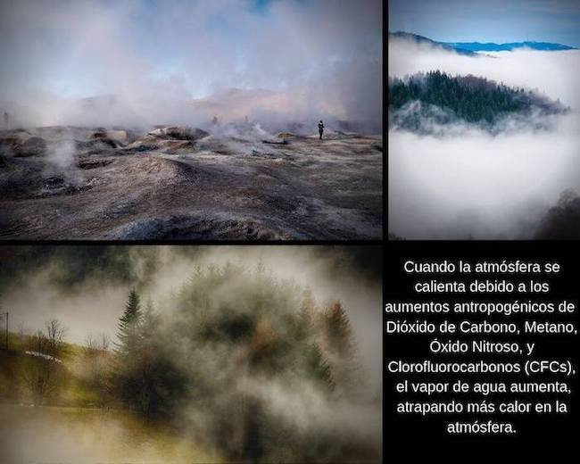 clorofluorocarbonos en la atmósfera