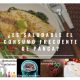 Comer-panga