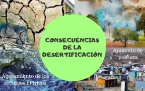 consecuencias de la desertificación