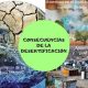consecuencias de la desertificación