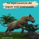 cuál es el estado de conservación del jaguar