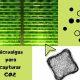 cultivo de microalgas