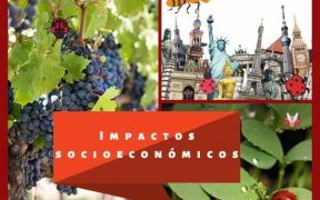 Impactos socioeconómicos de las especies invasoras