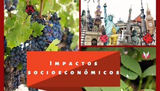 Impactos socioeconómicos de las especies invasoras