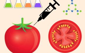 manipulación genética de alimentos