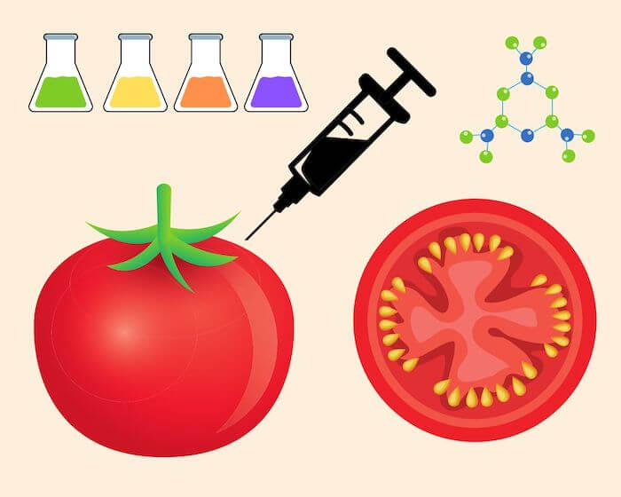 manipulación genética de alimentos