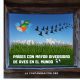Países con mayor diversidad de aves en el mundo