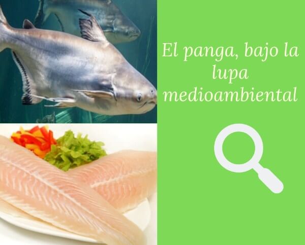 Panga-bajo-lupa-medioambiental