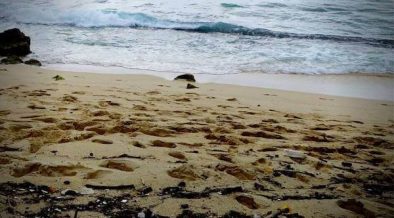 playas más contaminadas del mundo
