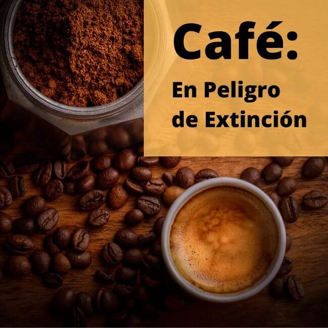 Cafe en peligro de extincion