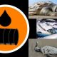 Víctimas del derrame petrolero en Brasil