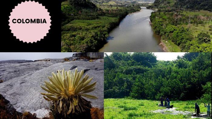Ecosistemas sujetos de derechos en Colombia