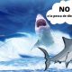 Resolución amplía cuota de pesca de tiburones en Colombia