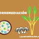 biorremediacion