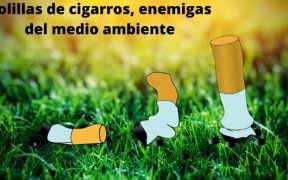 Las colillas de cigarros en el medio ambiente