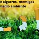 Las colillas de cigarros en el medio ambiente