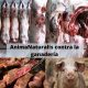 AnimaNaturalis contra la ganadería