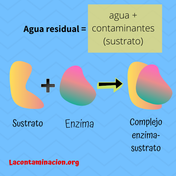 Tratamiento enzimático agua residual