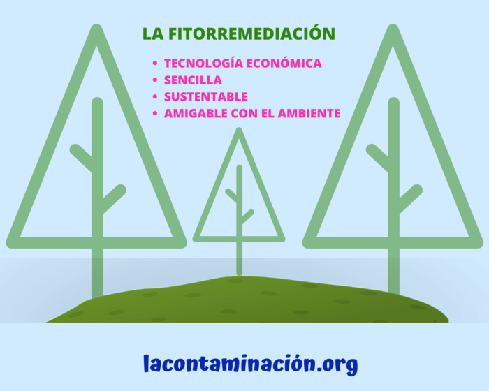 Ventajas de la fitorremediación (1)