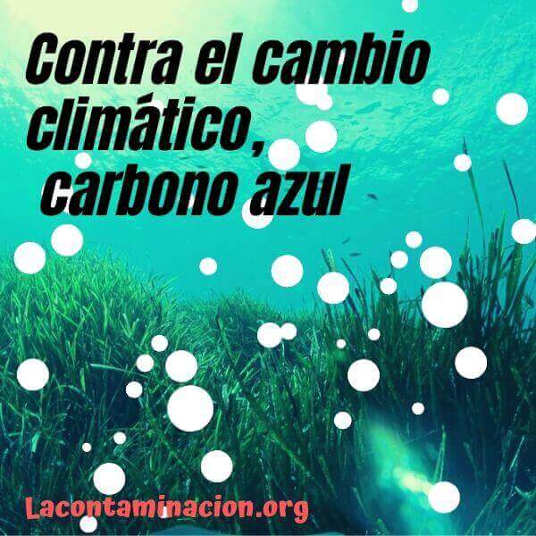 Qué es el carbono azul