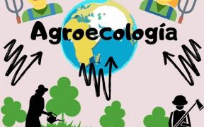 Qué es la agroecología