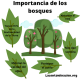 importancia de los bosques