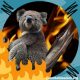 incendios en australia koalas