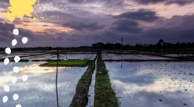 Islas desaparecidas en Indonesia