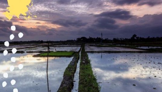 Islas desaparecidas en Indonesia
