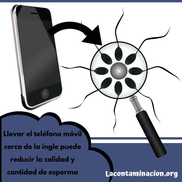 Teléfonos móviles esperma