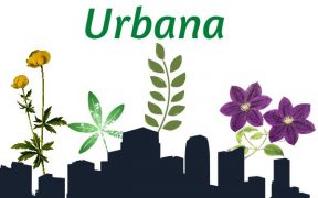 Agricultura urbana y periurbana