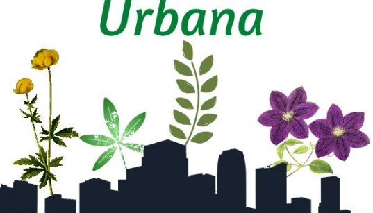 Agricultura urbana y periurbana
