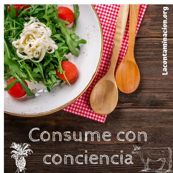 consume alimentos sanos