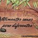 diferencias alimentos orgánicos ecológicos y biológicos