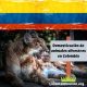 domesticación de animales