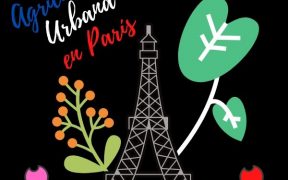Huertos urbanos en París