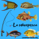 sobrepesca