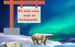 canibalismo entre osos polares