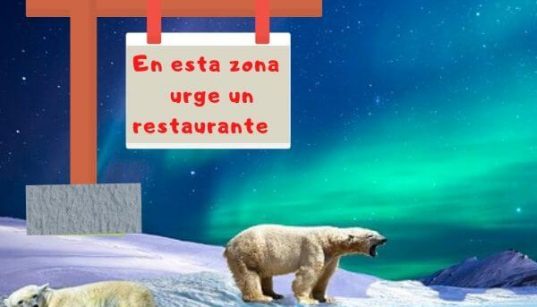 canibalismo entre osos polares