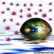 coronavirus China