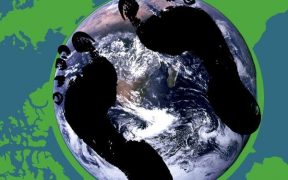 ejemplos de deuda ecologica