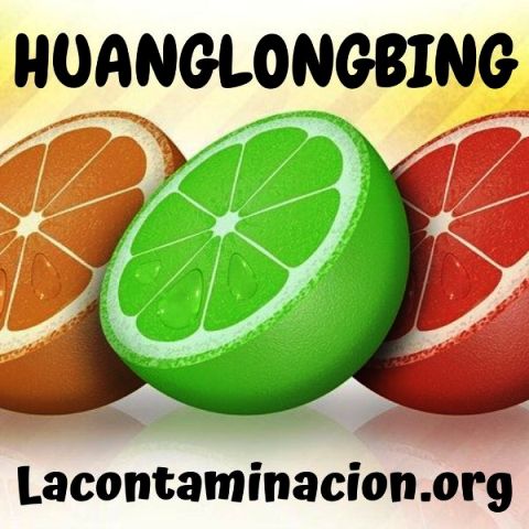 huanglongbing