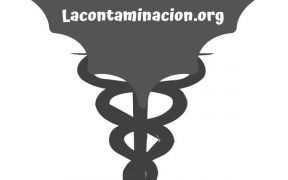 murciélagos y salud
