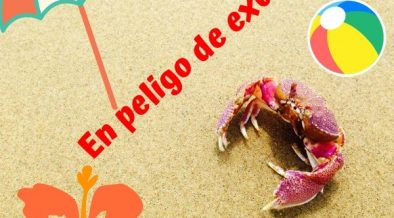 playas en peligro de desaparecer