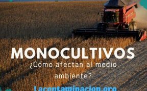 qué son los monocultivos