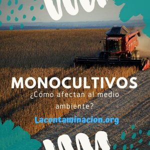 qué son los monocultivos