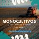 qué son los monocultivos